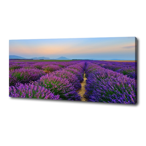 Canvas wall art Lavender field