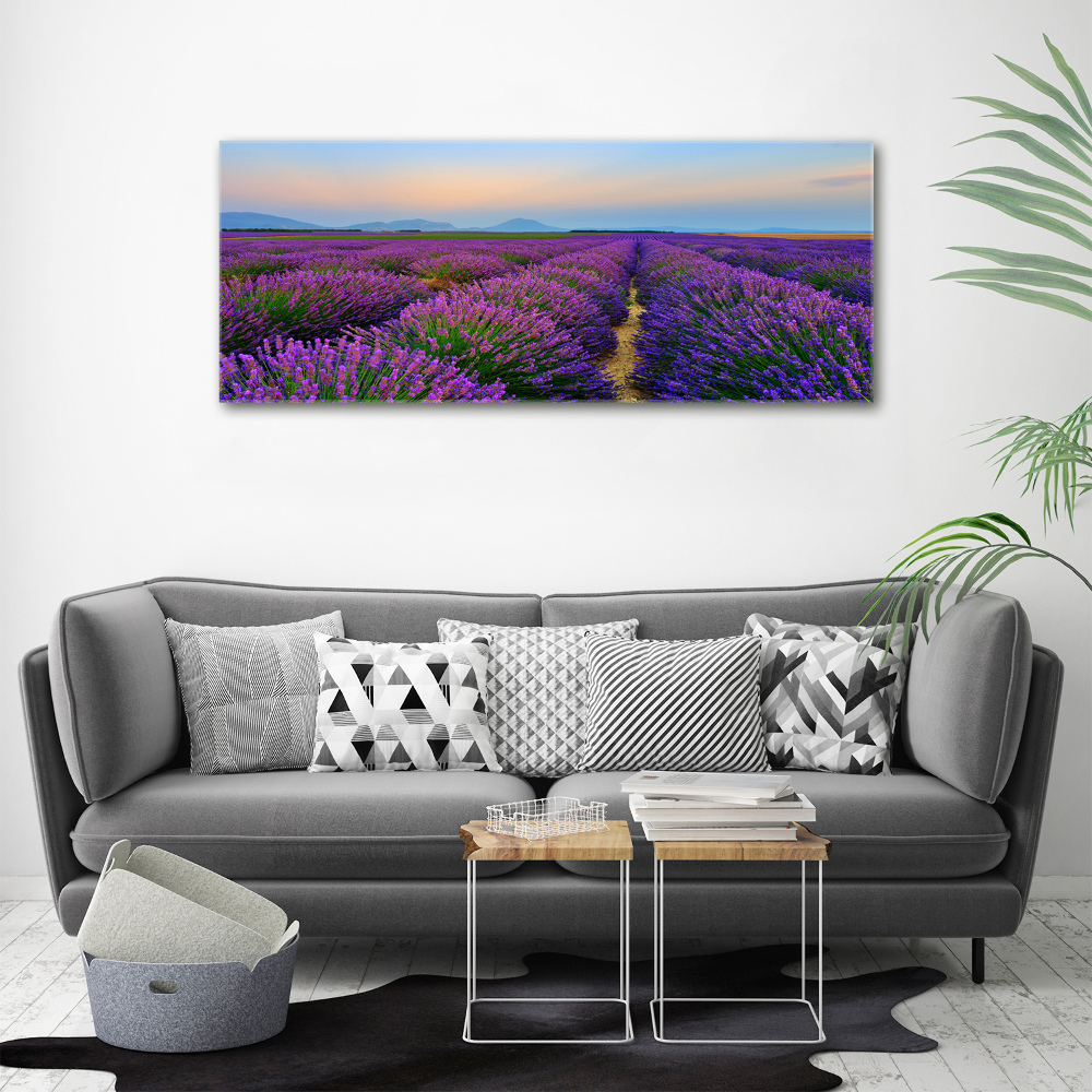 Canvas wall art Lavender field