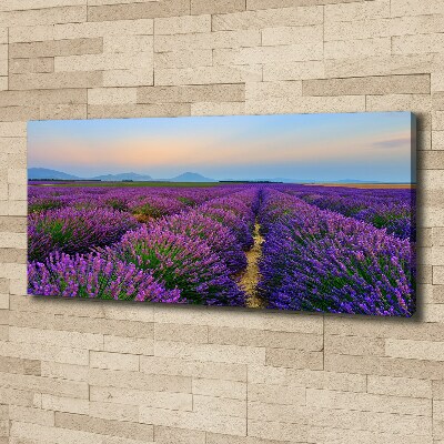 Canvas wall art Lavender field