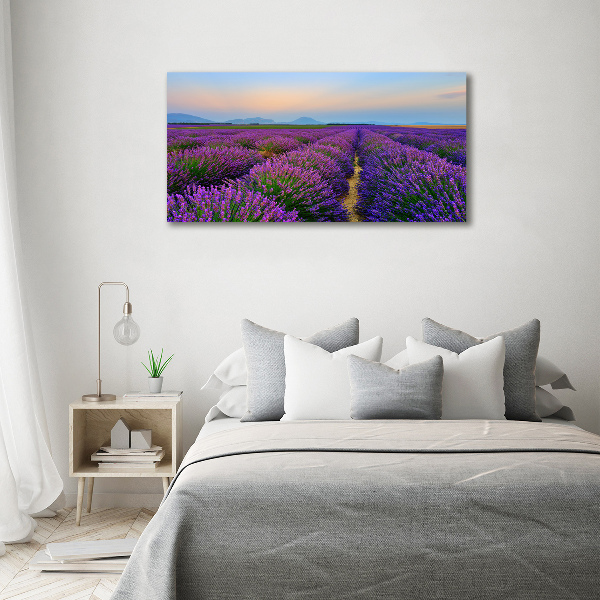 Canvas wall art Lavender field