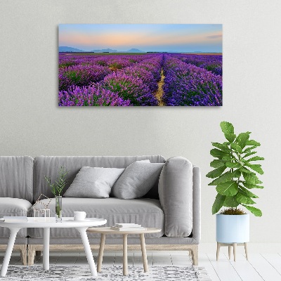 Canvas wall art Lavender field