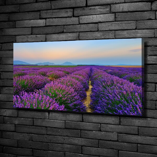 Canvas wall art Lavender field