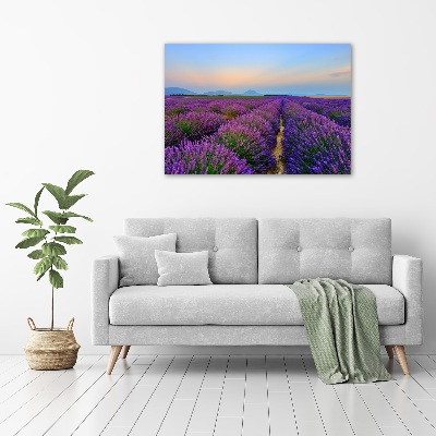 Canvas wall art Lavender field