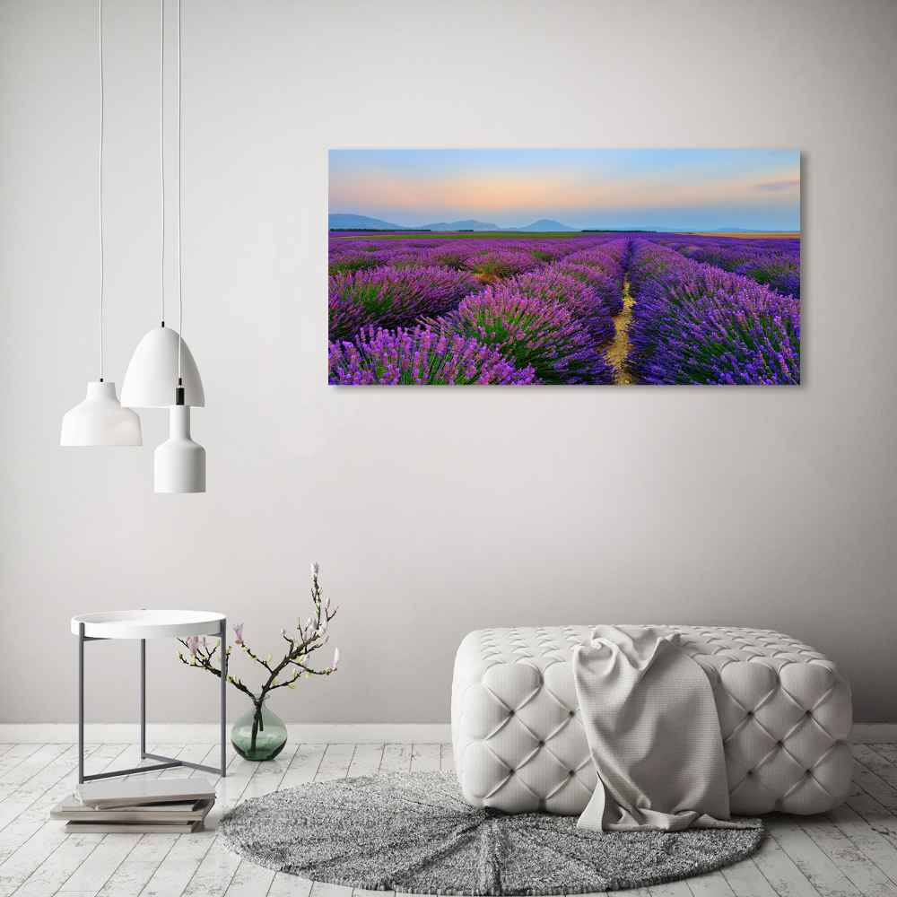 Canvas wall art Lavender field