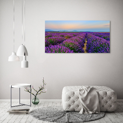 Canvas wall art Lavender field