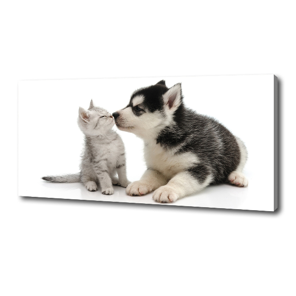 Canvas wall art Dog and cat