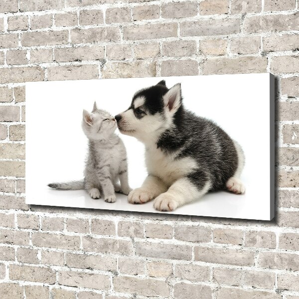 Canvas wall art Dog and cat