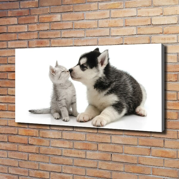 Canvas wall art Dog and cat