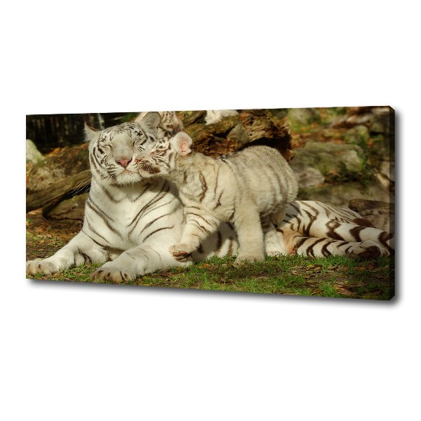 Canvas wall art Tigers