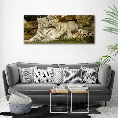 Canvas wall art Tigers