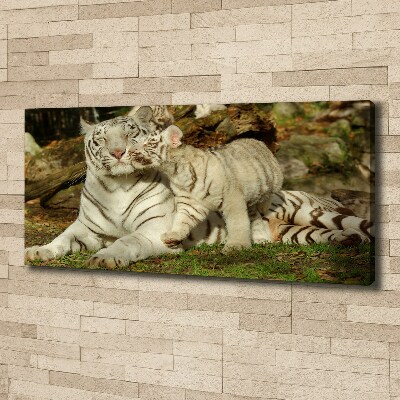 Canvas wall art Tigers