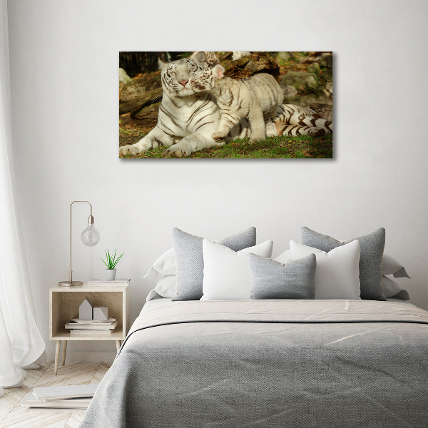 Canvas wall art Tigers