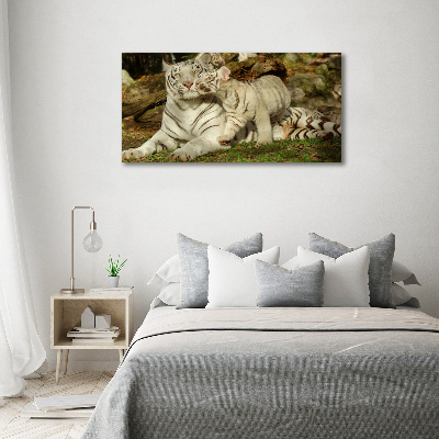 Canvas wall art Tigers