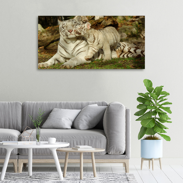 Canvas wall art Tigers