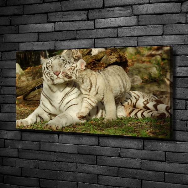 Canvas wall art Tigers