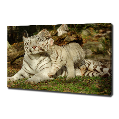 Canvas wall art Tigers