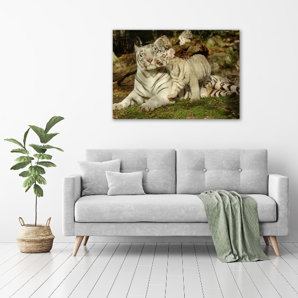 Canvas wall art Tigers