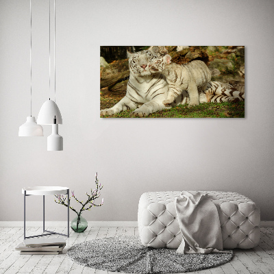 Canvas wall art Tigers