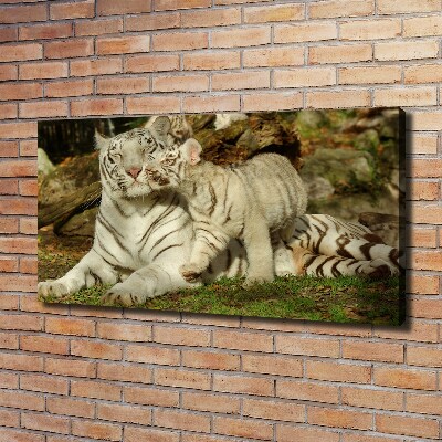 Canvas wall art Tigers