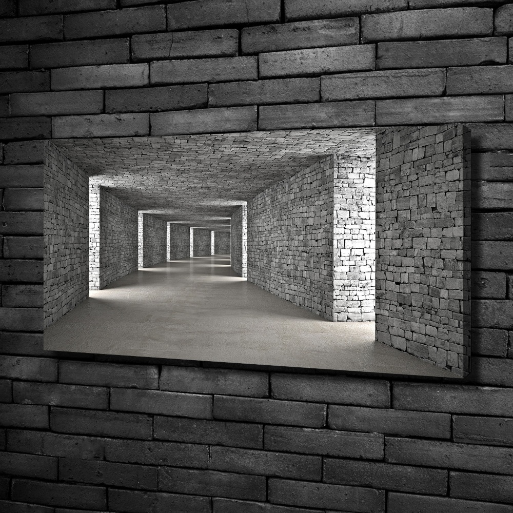 Canvas wall art Brick tunnel