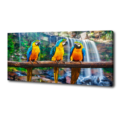 Canvas wall art Parrots on a branch