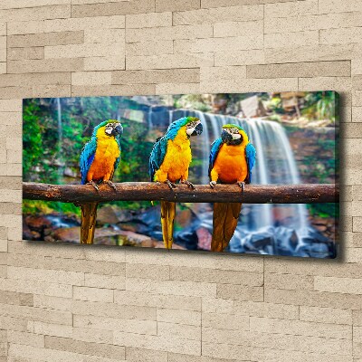 Canvas wall art Parrots on a branch