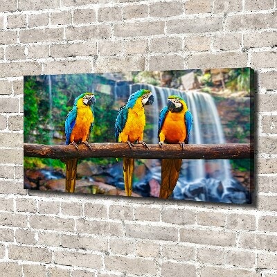 Canvas wall art Parrots on a branch