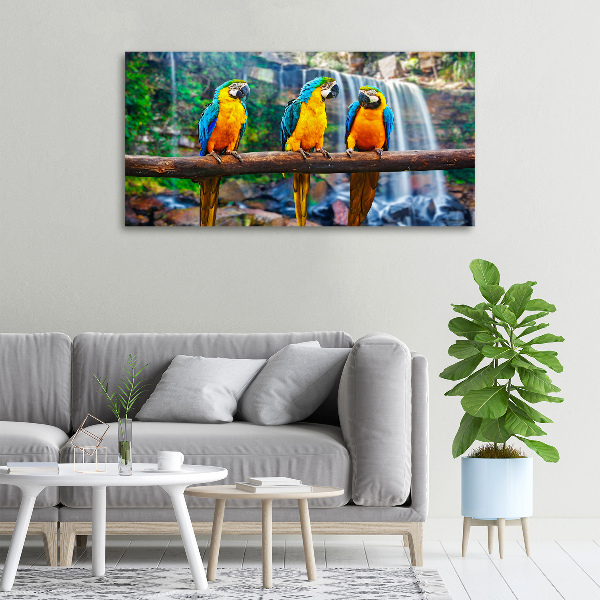 Canvas wall art Parrots on a branch