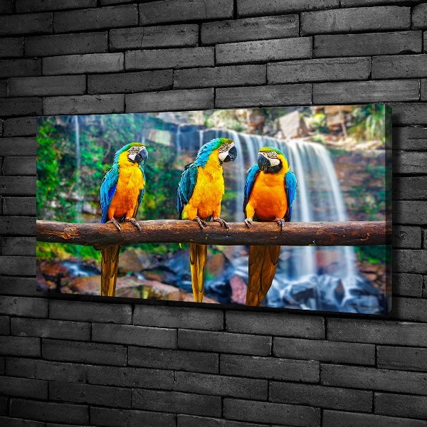 Canvas wall art Parrots on a branch