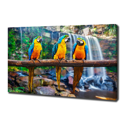 Canvas wall art Parrots on a branch