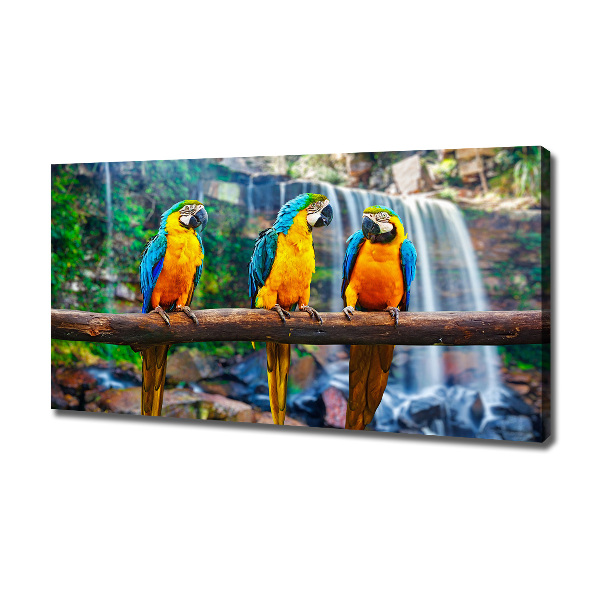 Canvas wall art Parrots on a branch