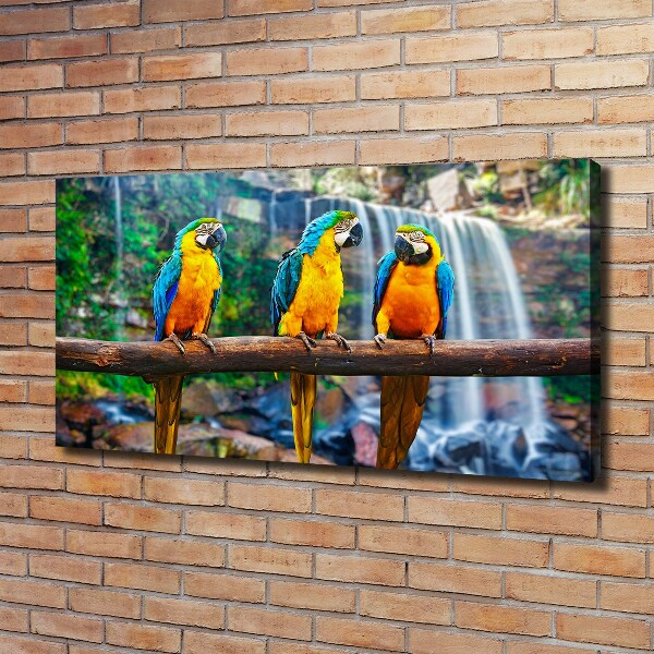 Canvas wall art Parrots on a branch