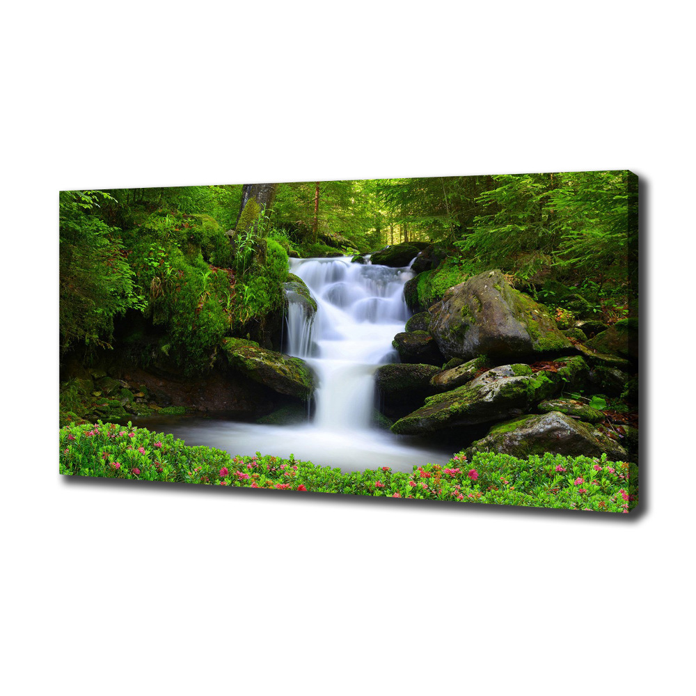 Canvas wall art Waterfall in the forest