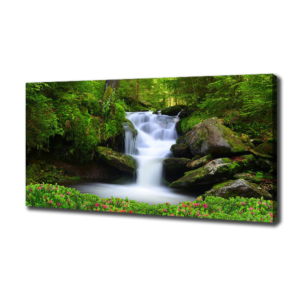 Canvas wall art Waterfall in the forest