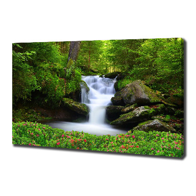 Canvas wall art Waterfall in the forest