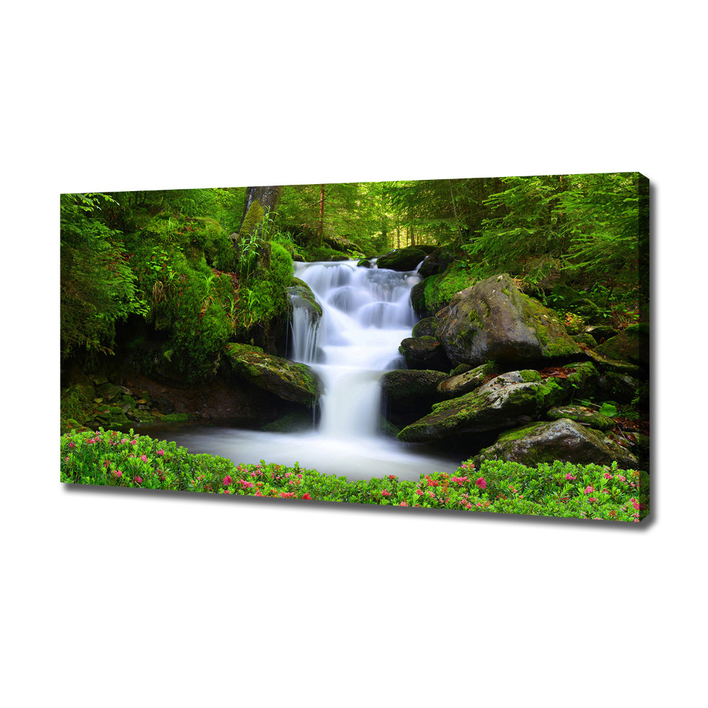 Canvas wall art Waterfall in the forest