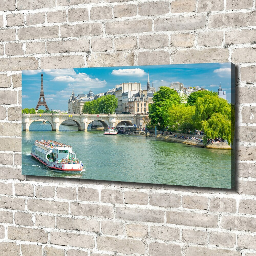 Canvas wall art Seine Paris