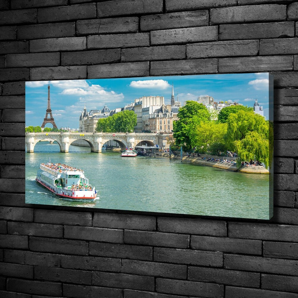 Canvas wall art Seine Paris