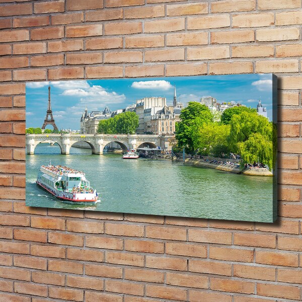 Canvas wall art Seine Paris