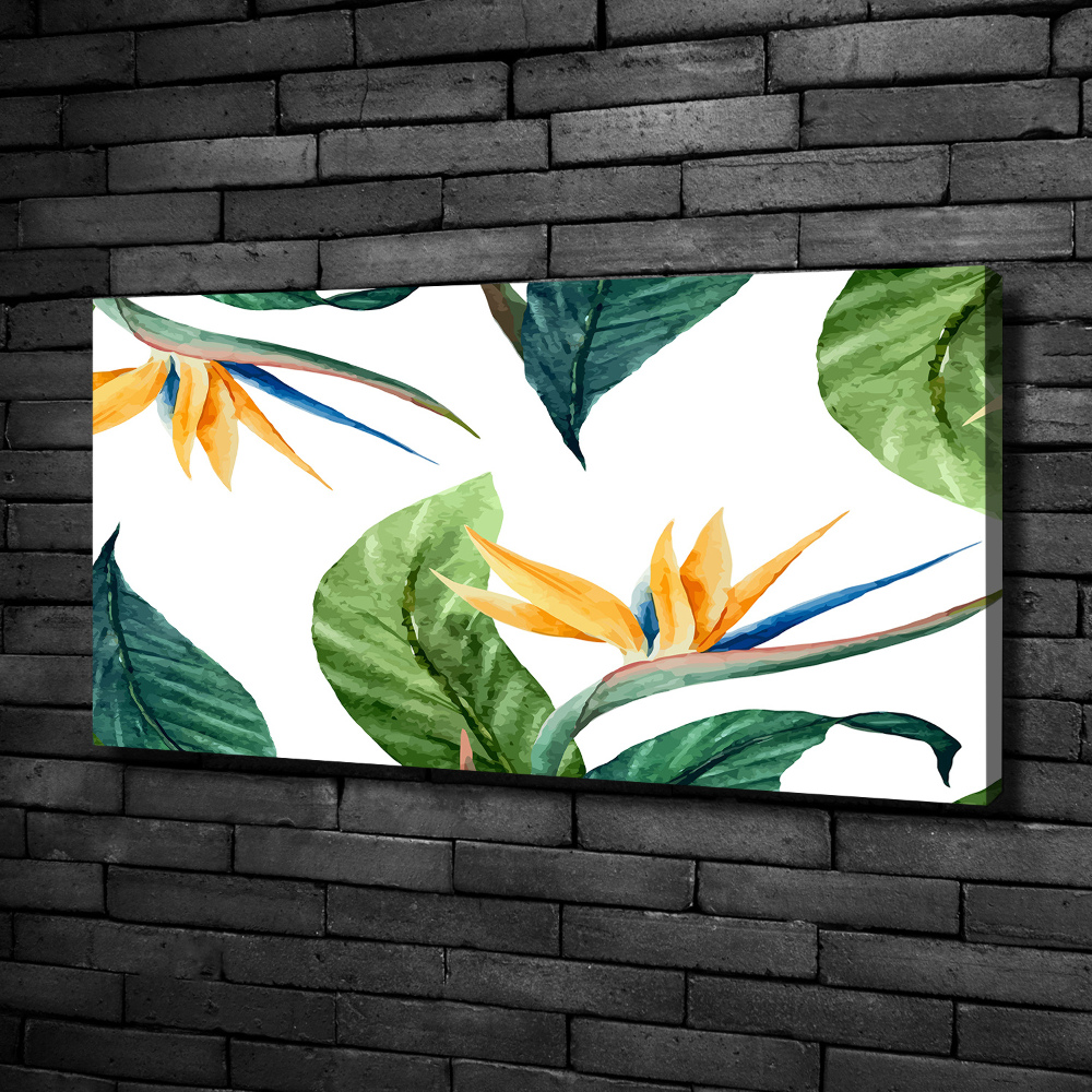 Canvas wall art Tropical flowers