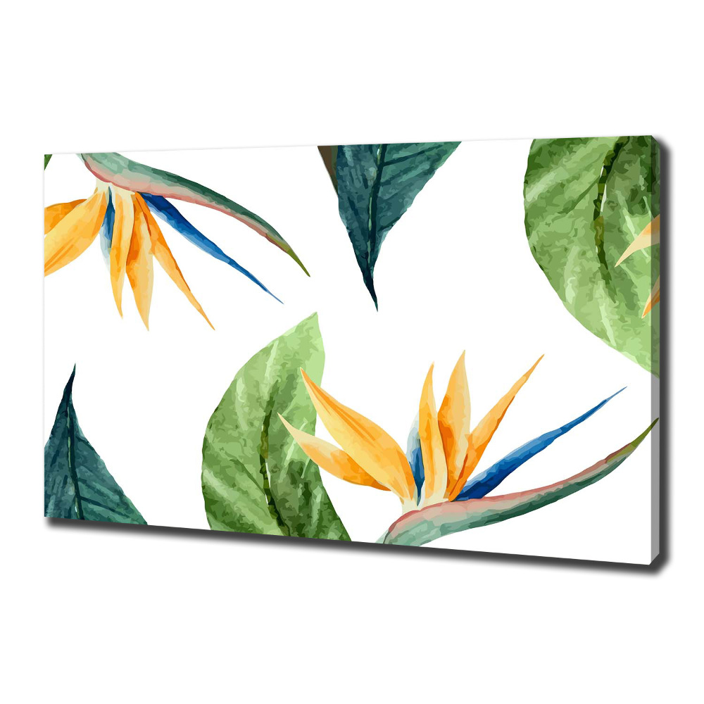 Canvas wall art Tropical flowers