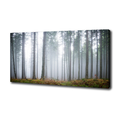 Canvas wall art Fog in the forest