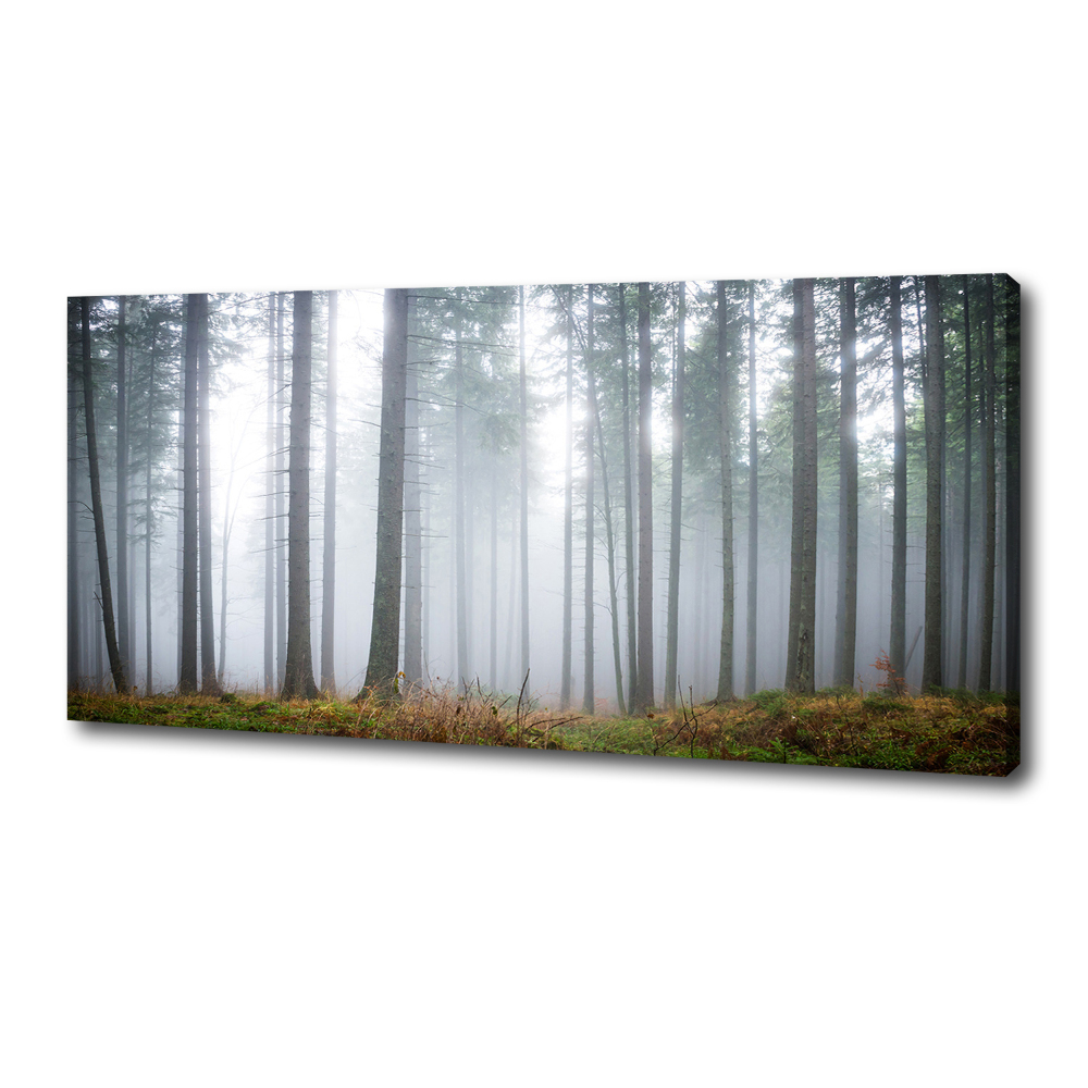 Canvas wall art Fog in the forest