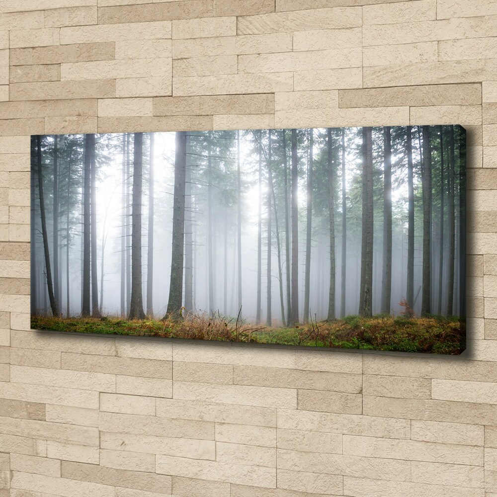 Canvas wall art Fog in the forest