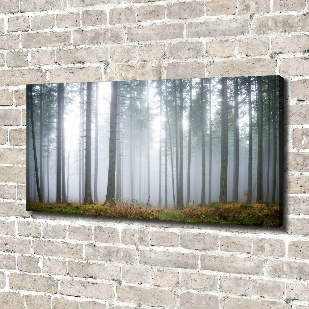 Canvas wall art Fog in the forest