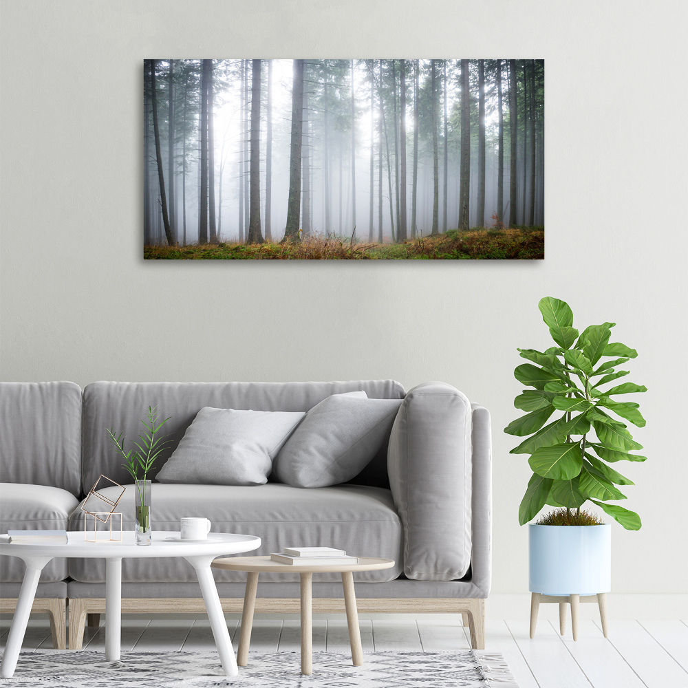 Canvas wall art Fog in the forest