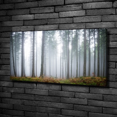 Canvas wall art Fog in the forest