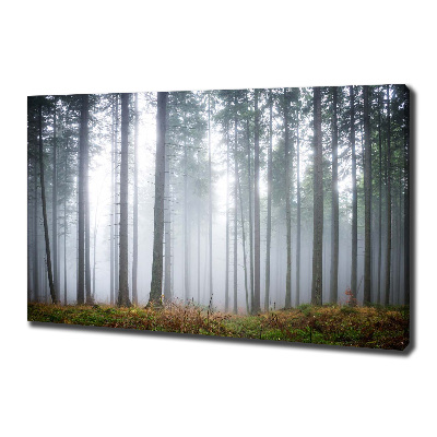 Canvas wall art Fog in the forest