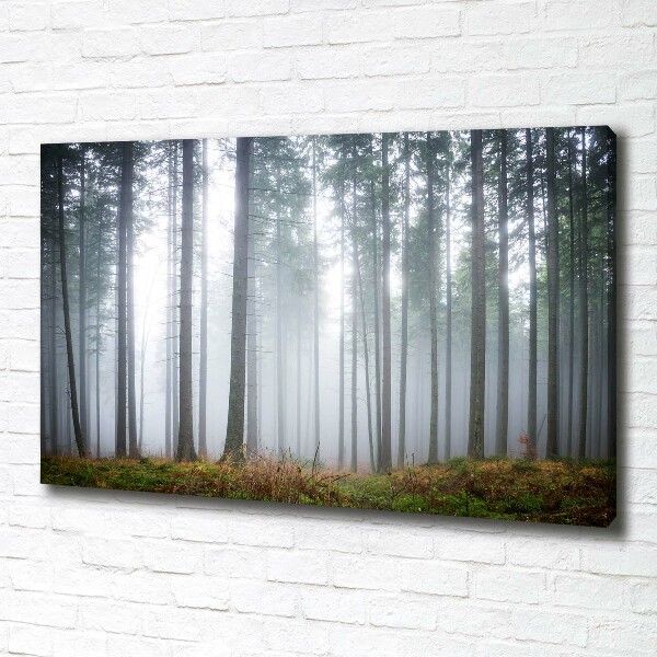 Canvas wall art Fog in the forest