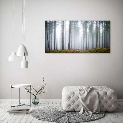 Canvas wall art Fog in the forest